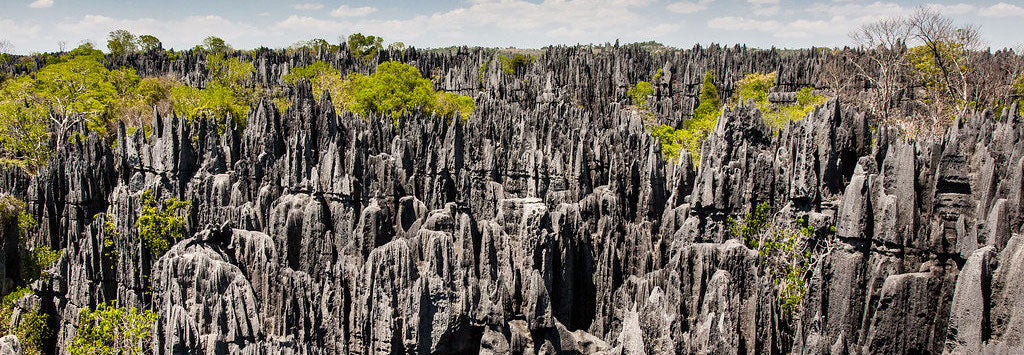 UN MONDE INTERDIT DÉCOUVERT AU CŒUR DE MADAGASCAR 🌍