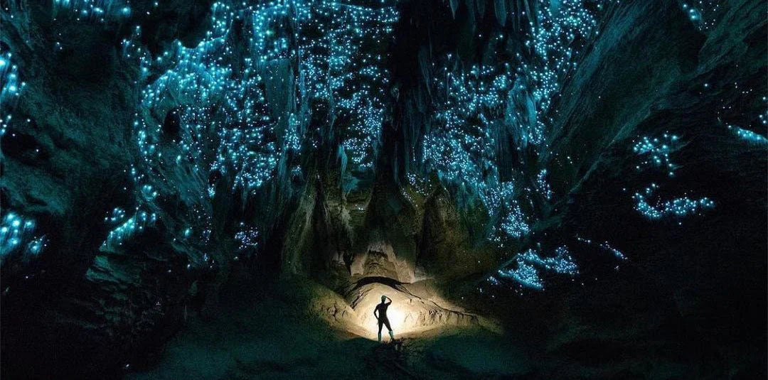 UN CIEL ÉTOILÉ… SOUS TERRE 🇳🇿