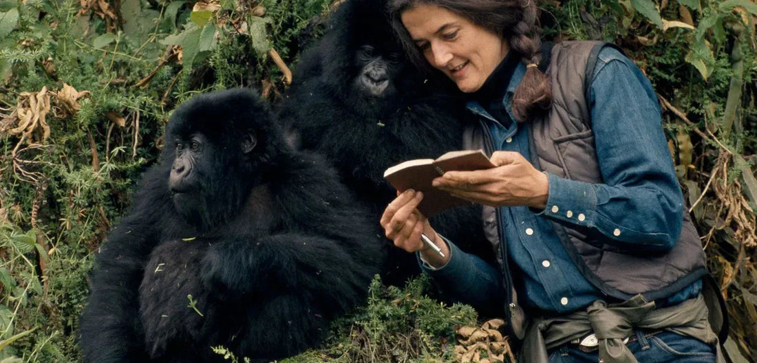ELLE A VÉCU SEULE AVEC DES GORILLES 🇺🇬